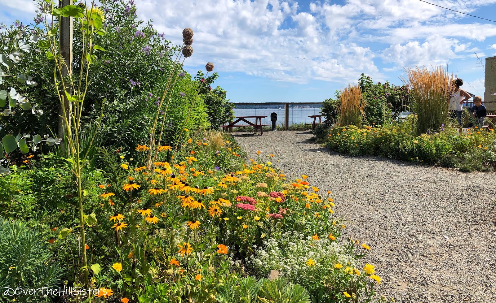Over the Hill Sisters Whidbey Island & Port Townsend, WA