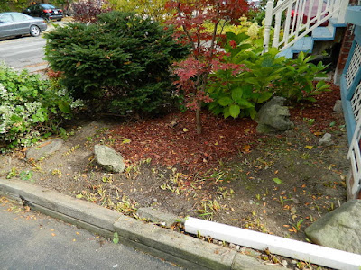 Toronto Fall Cleanup Yonge and Lawrence Front Yard after by Paul Jung Gardening Services--a Toronto Organic Gardener Toronto Fall Cleanup Yonge and Lawrence Front Yard after by Paul Jung Gardening Services--a Toronto Organic Gardener