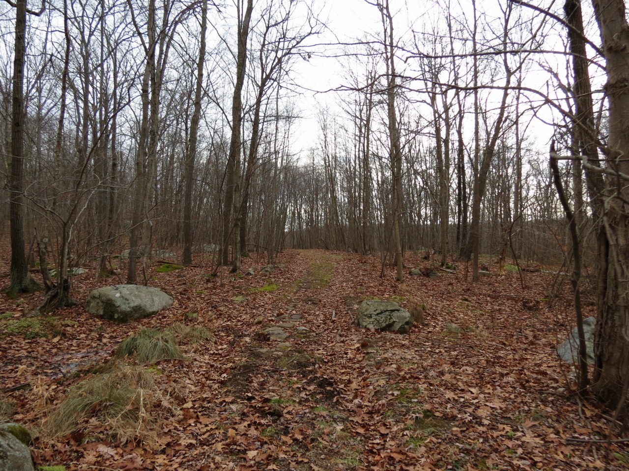 Gone Hikin' Sparta Mountain WMA, NJ Edison Trail