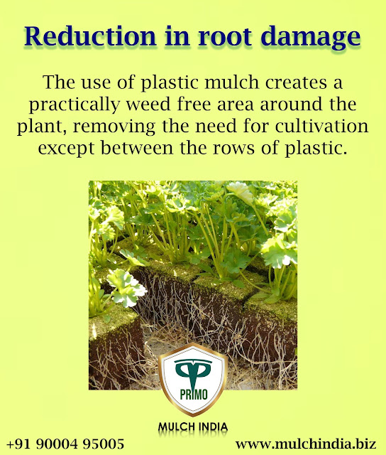 MulchIndia REDUCTION IN ROOT DAMAGE Mulch India Call+𝟵𝟭 𝟵𝟬𝟬𝟬𝟰𝟵𝟱𝟬𝟬𝟱