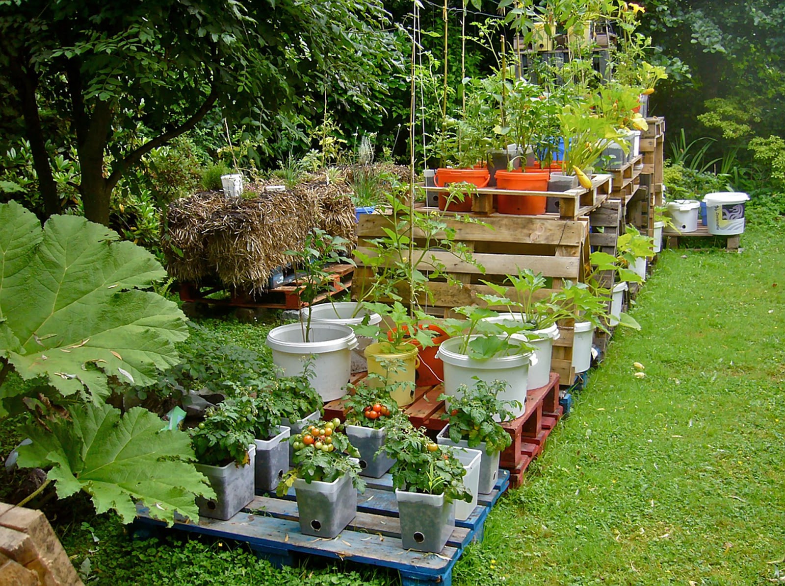 minimalist home garden ideas | halamanku halamanmu minimalist home garden ideas | halamanku halamanmu