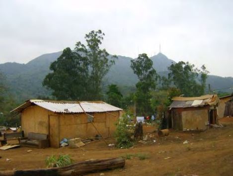 Habitações da Tekoa Pyau em 2007. Dissertação sobre mapeamento da Tekoa Pyau.  Foto: acervo Márcia Cabral