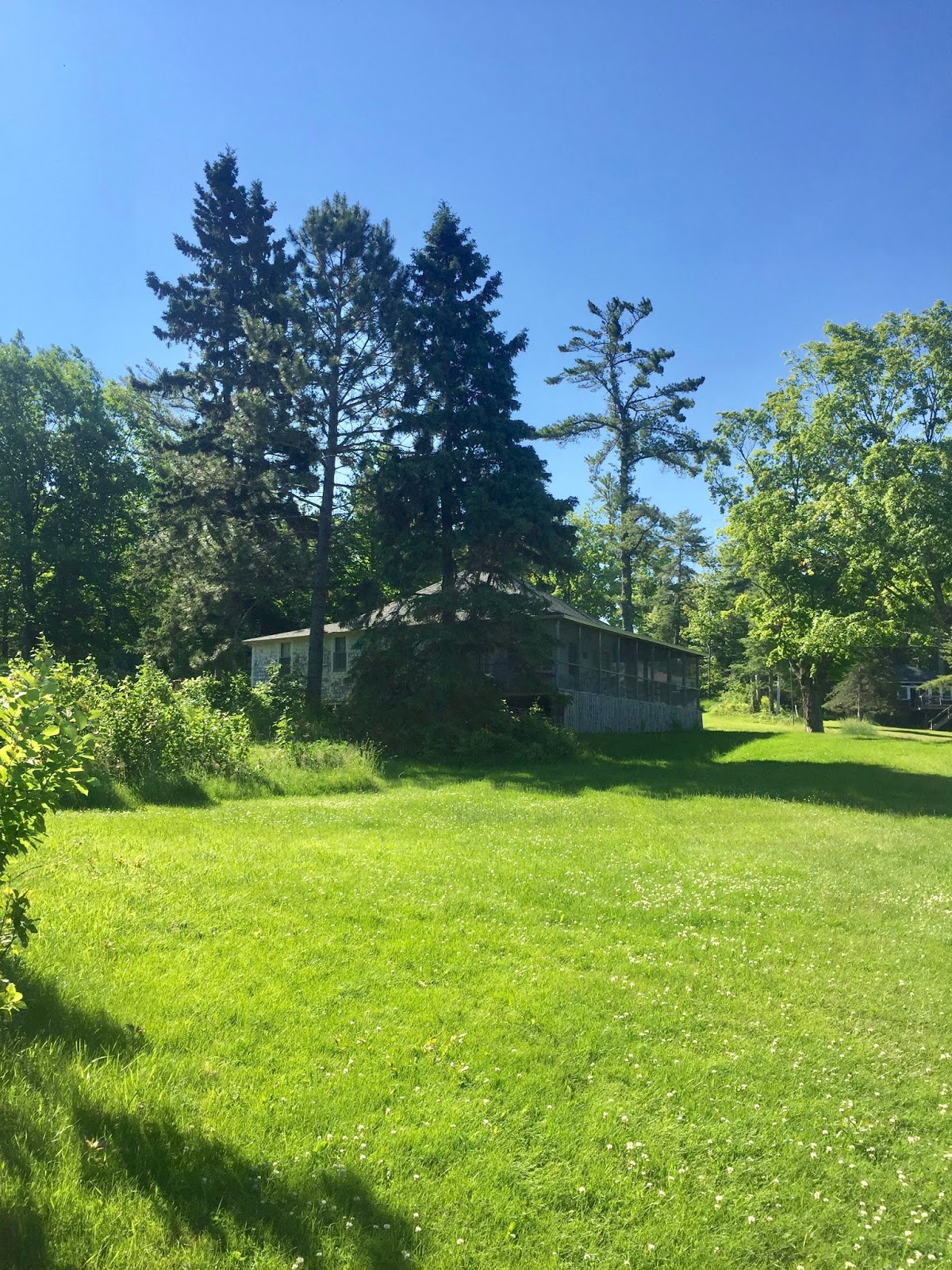 Mad About Madeline Island Madeline Island 2019 Dale's Cottage