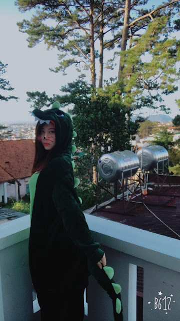 Thái Dương Limousine Bus