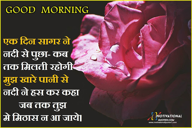 ''Good Morning Flowers'' good morning hindi, good morning quotes in hindi, good morning images hindi, good morning wishes in hindi, good morning quotes in hindi with images,