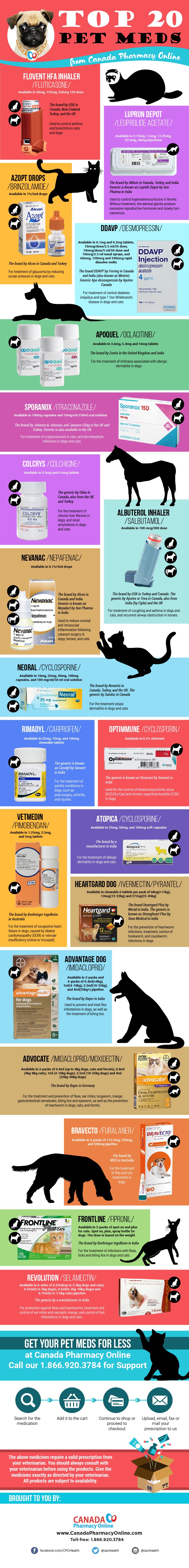 Top 20 Pet Meds from Canada Pharmacy Online #infographic