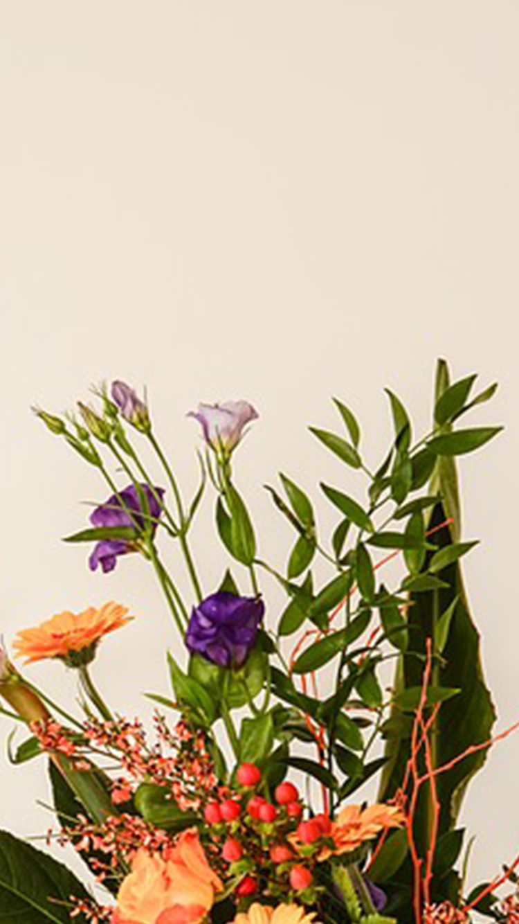 خلفيات ورود وأزهار للموبايل والآيفون صور وخلفيات ورود