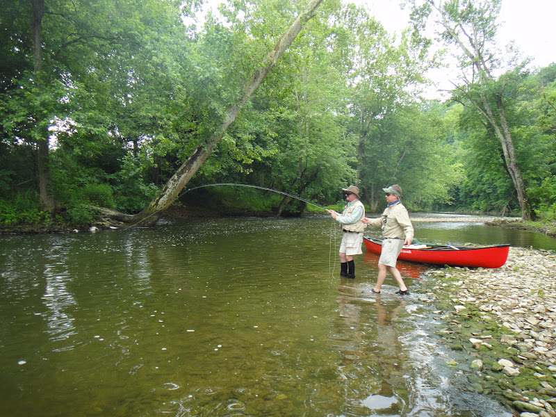 D&H fishing report Elkhorn Creek
