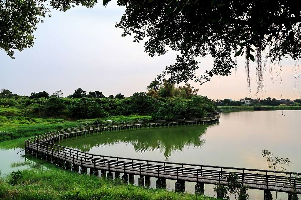 離開人群市區|台南親山步道懶人包|多接近大自然一起強身健體|特輯