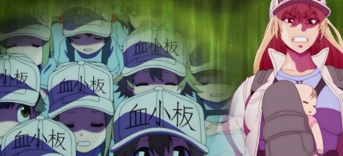 Cells At Work Season 2 Dub Cells At Work! Season 2 Episode 1 English Subbed - Bump! - Cells At