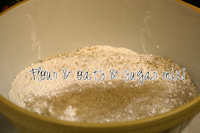 Home Made Vegan Hob Nob Biscuits 2