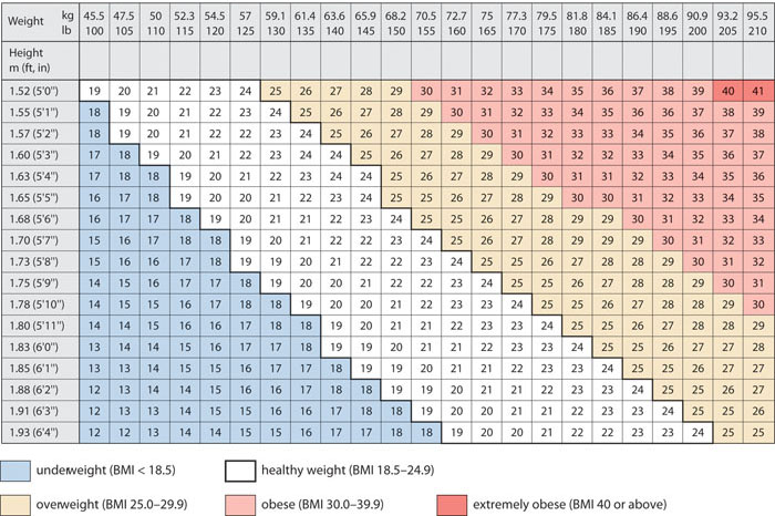 Индекс массы тела собаки. Рассчитать идеальный вес. Body Mass Index Table. Индекс массы тела лошади. Таблица индекса массы тела собак.