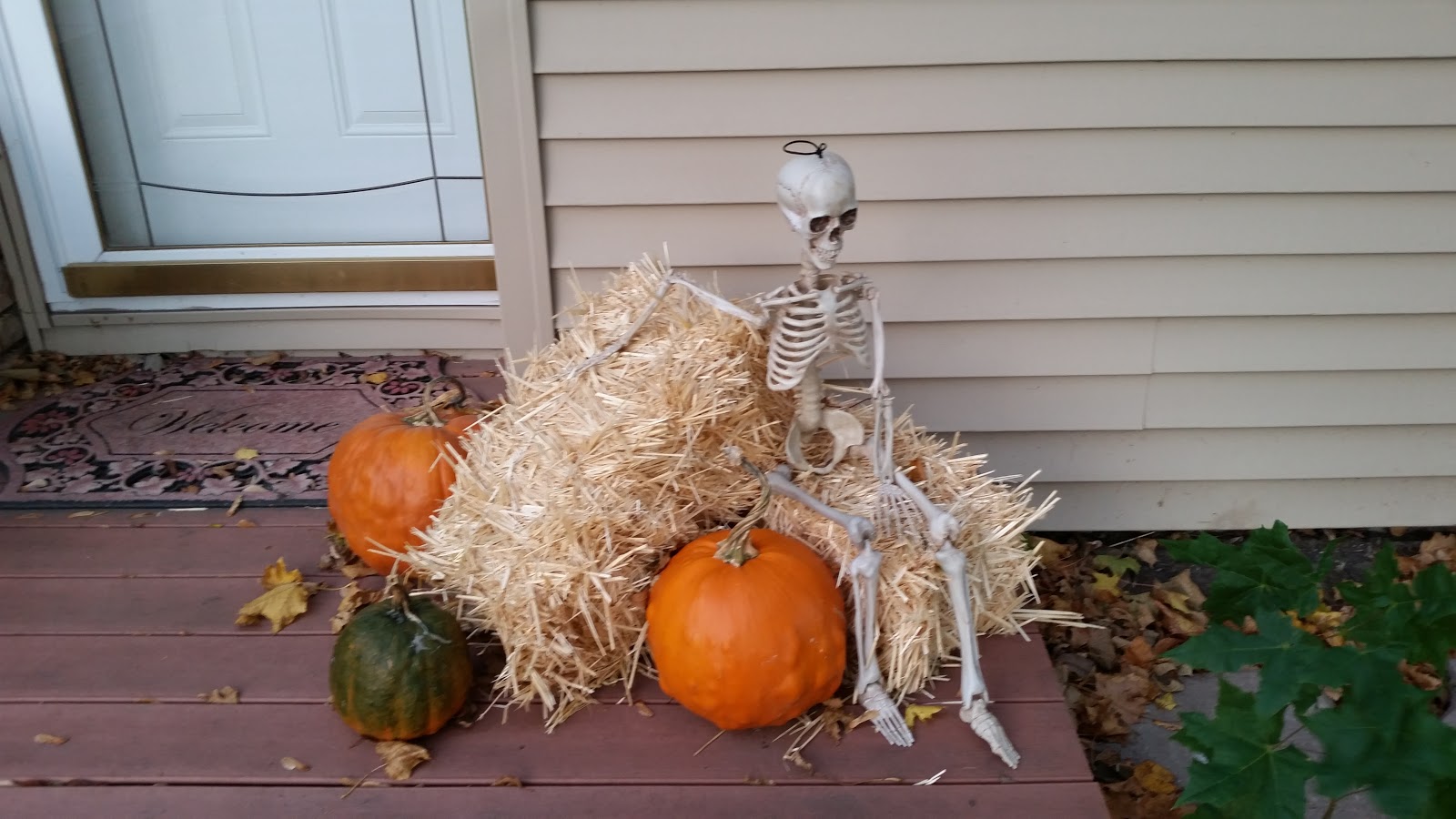 Mom's Hobby Farm: decorated and ready for halloween
