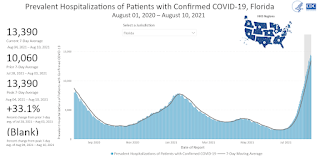 COVID-19 Positive Tests per Day