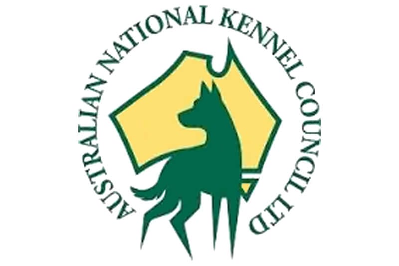Australian National Kennel Council BilginCin