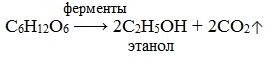 %25D1%2583%25D0%25B3%25D0%25BB%2B1 В результате чего образуются моносахариды
