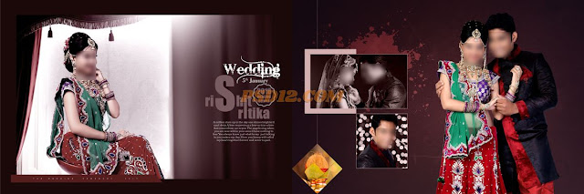 Wedding album 12x36 karizma dm PSD Vol-6