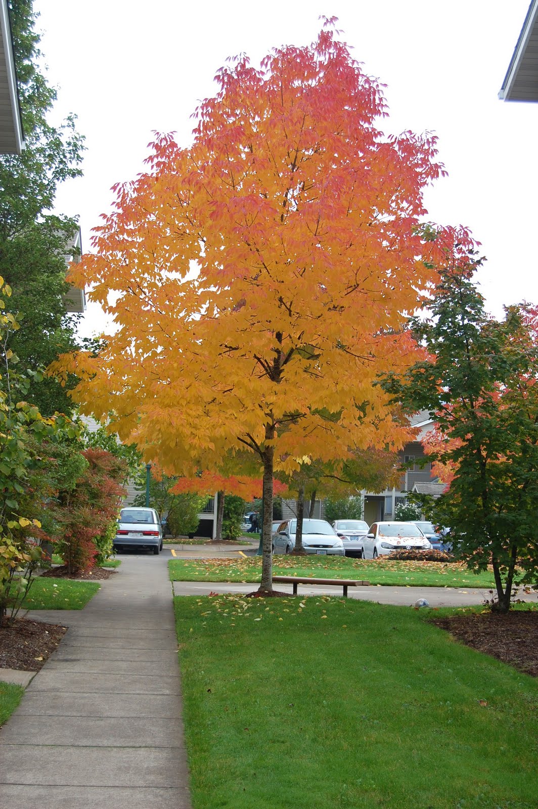 Temporary Waffle DIY Wall Art + Leaf Garland