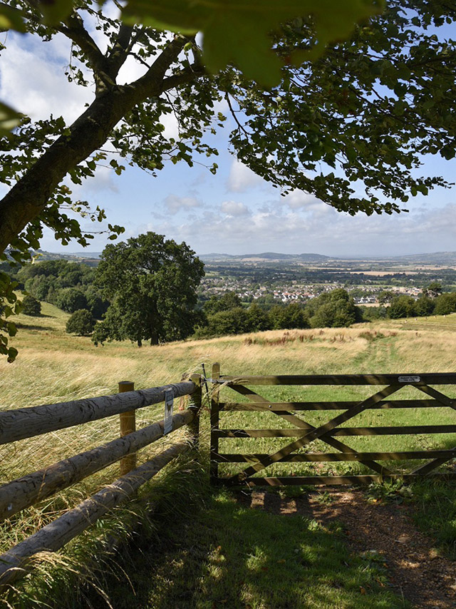 Foxhill Manor View Foxhill Manor View