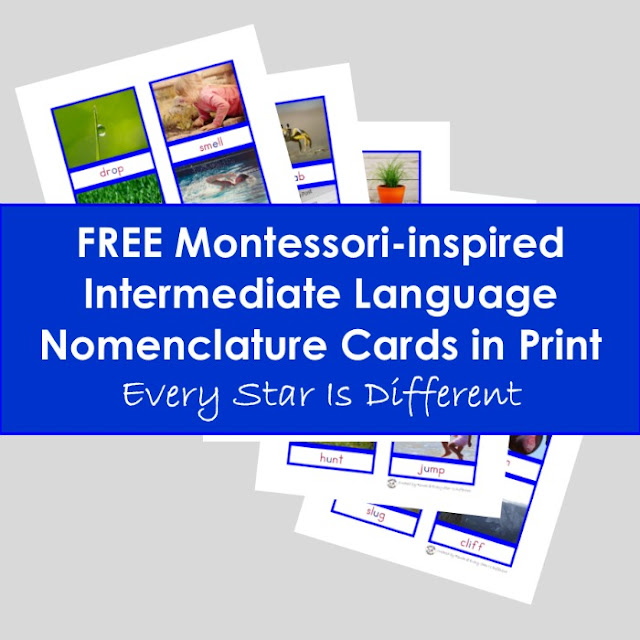 FREE Montessori-inspired Intermediate Language Nomenclature Cards in Print
