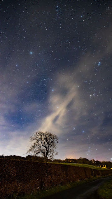 Free Nature Wallpaper Starry Night Sky, Tree, Landscape