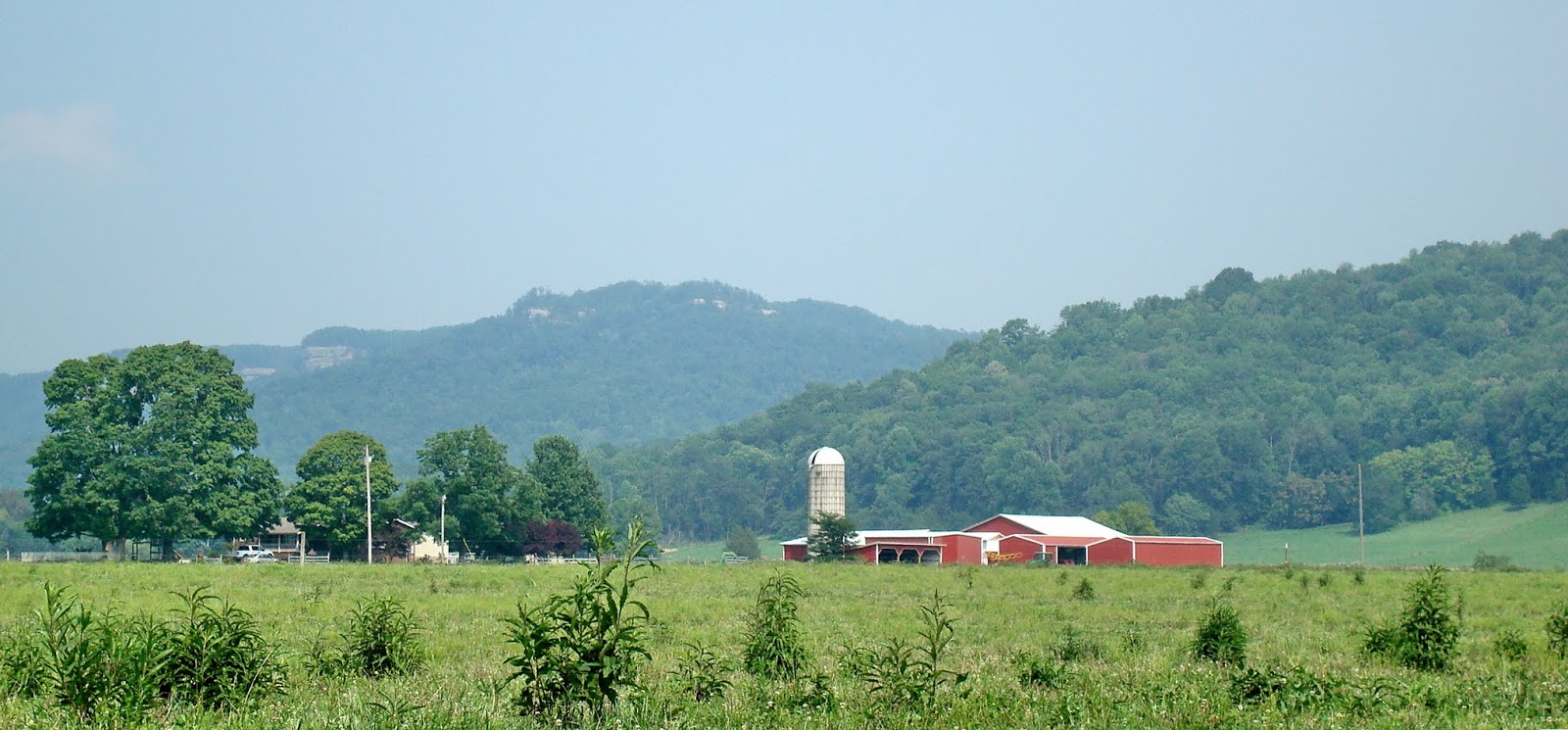 유 Pall Mall, Tennessee