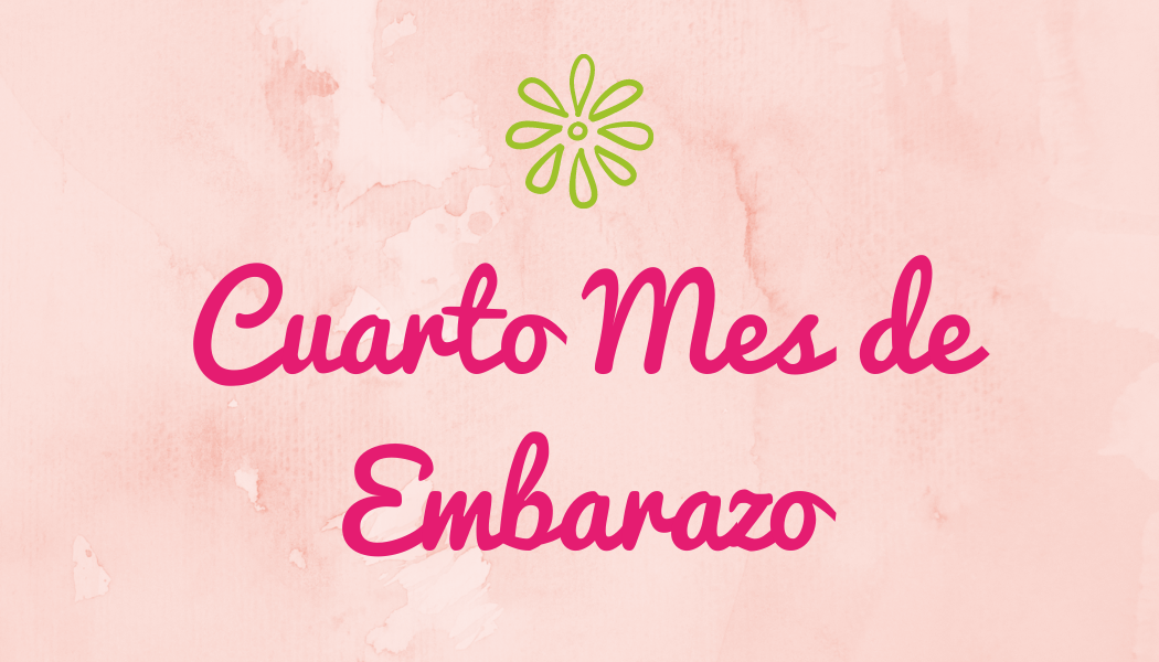 Cuarto Mes de Embarazo
