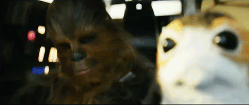 porg-1.gif