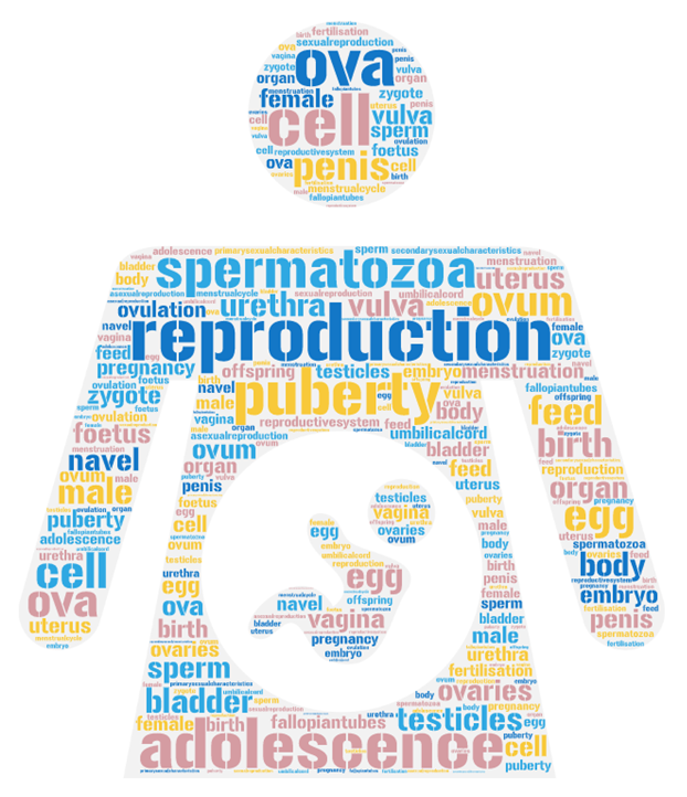 6th GRADE UNIT 5 REPRODUCTION