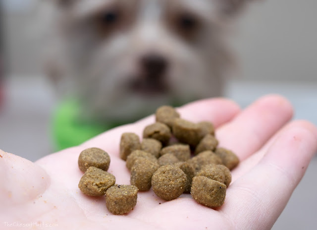 Only Natural Pet Small Breed Feast Kibble