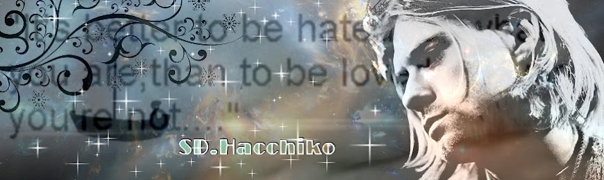SD.Hacchiko