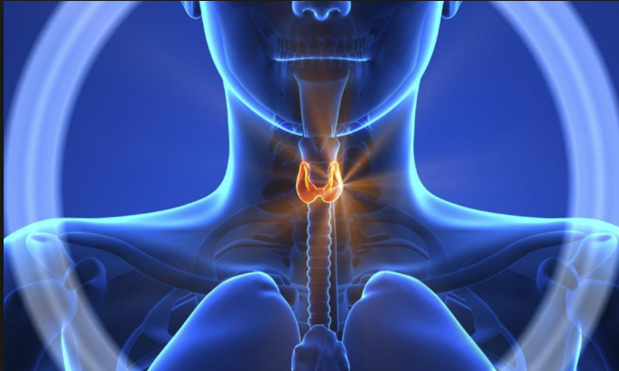 These 5 Bad Habits That Damage Your Thyroid
