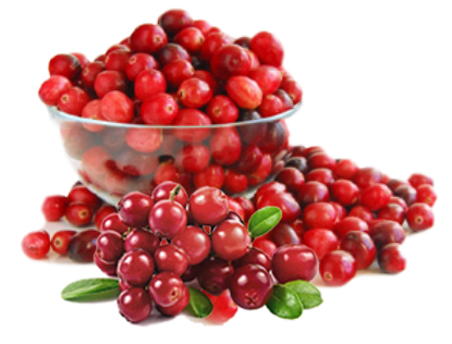 manfaat cranberry
