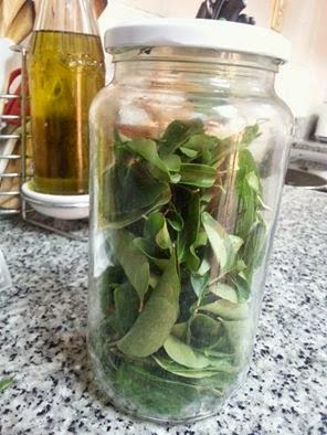 how to store curry leaves for longer