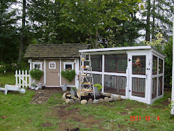 chicken coops coop shabby chickens decor fancy chic backyard tiny hen fall run inside retreat runs cottage dressed houses living