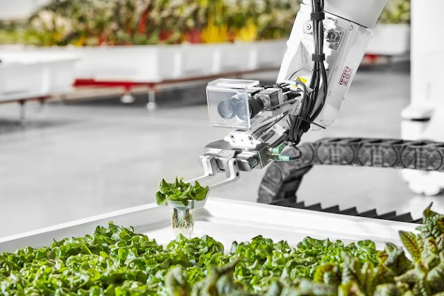 Robots para cultivo