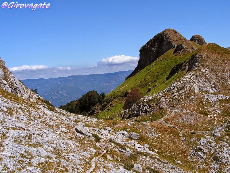 sentiero mufloni alpi apuane