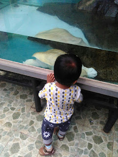 Tmii, main di jakarta, motorik anak