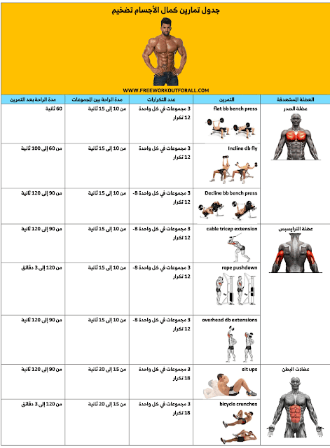 جدول تمارين كمال الاجسام تضخيم