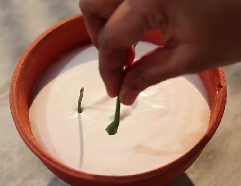 How to make Vegan Yoghurt at Home Homemade Vegan Yoghurt Recipe