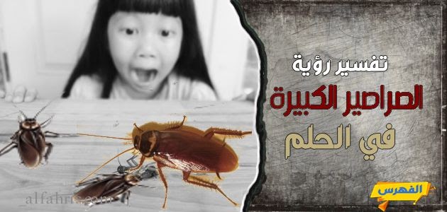 كثرة الصراصير في البيت