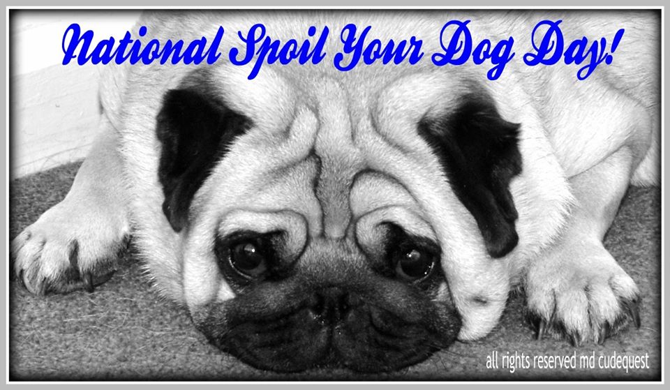 National Spoil Your Dog Day National Spoil Your Dog Day