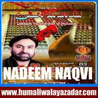 http://ishqehaider.blogspot.com/2013/11/nadeem-naqvi-n2014.html