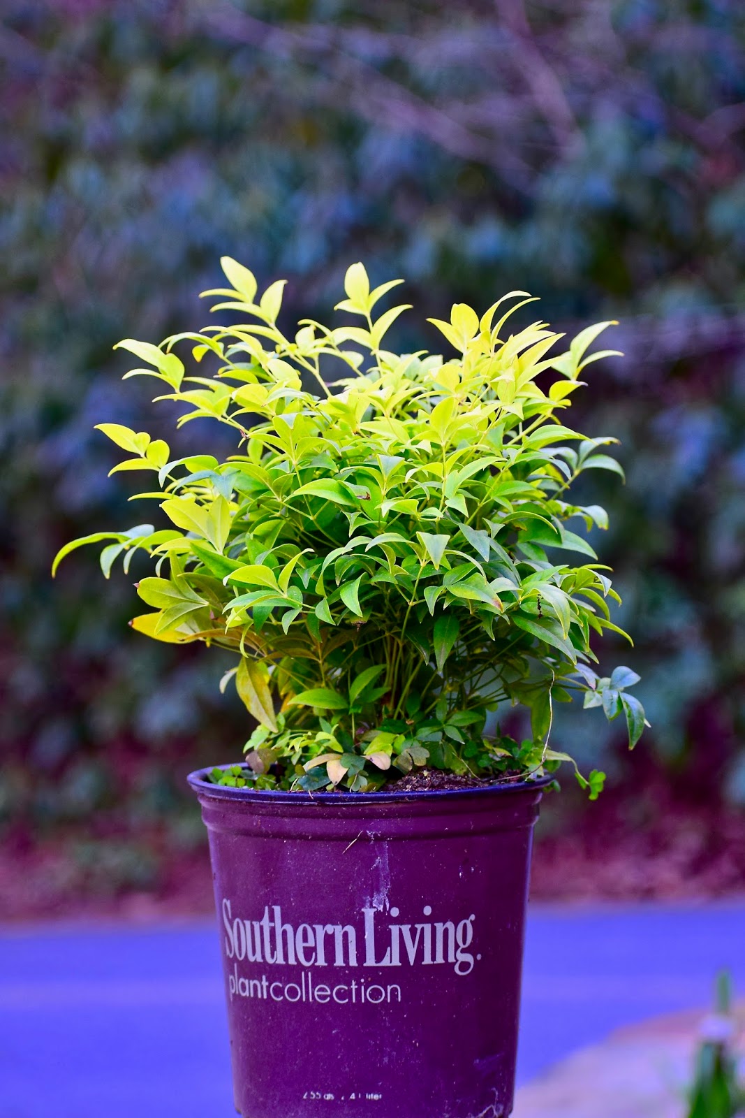 Everyday Artist Ireland 2011 Chapter 1 The Adventure Begins