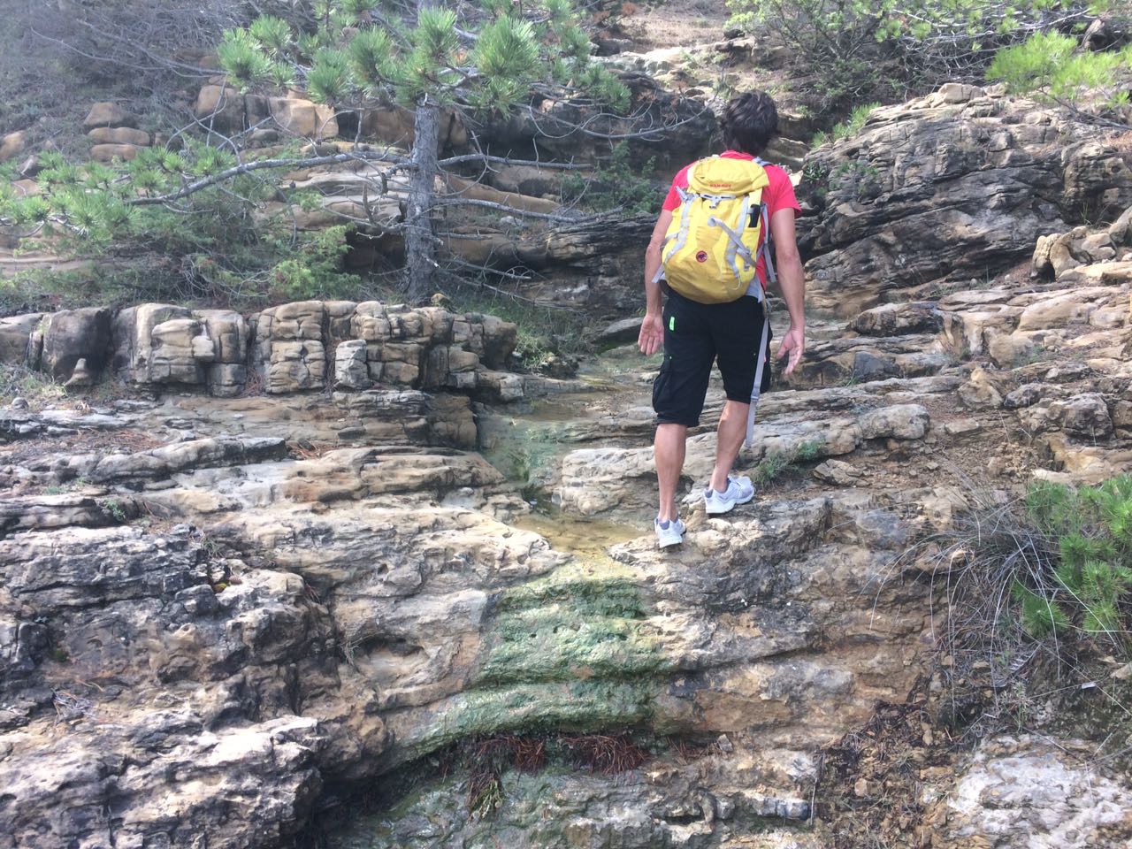 Maas Und Die Heimat Der Doppelspitzkegeligen Manner Stutzen Der