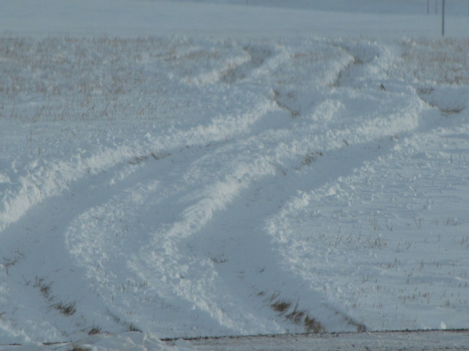 This blog is about an outsider living in Scobey MT.