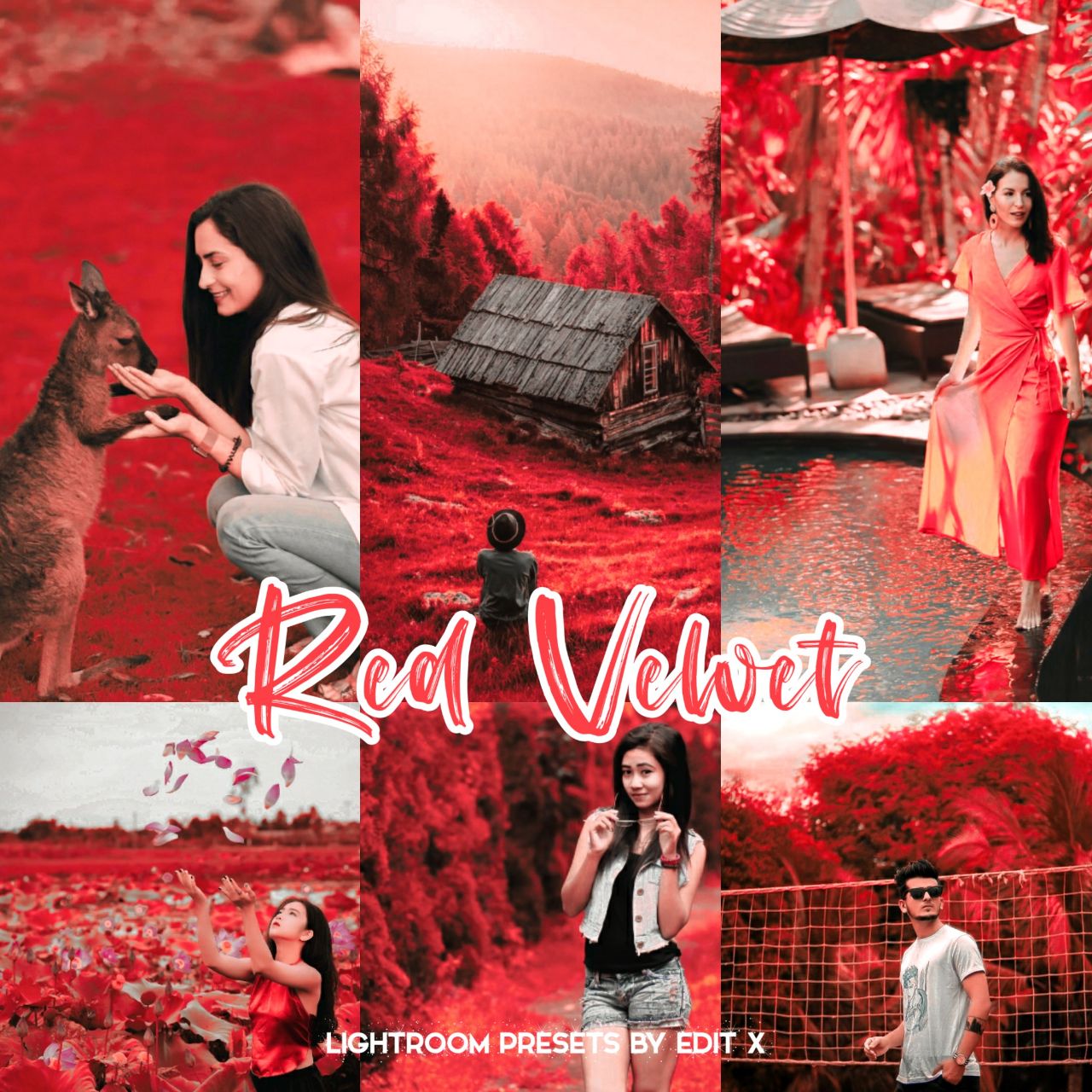 RED VELVET PREMIUM PRESET DNG