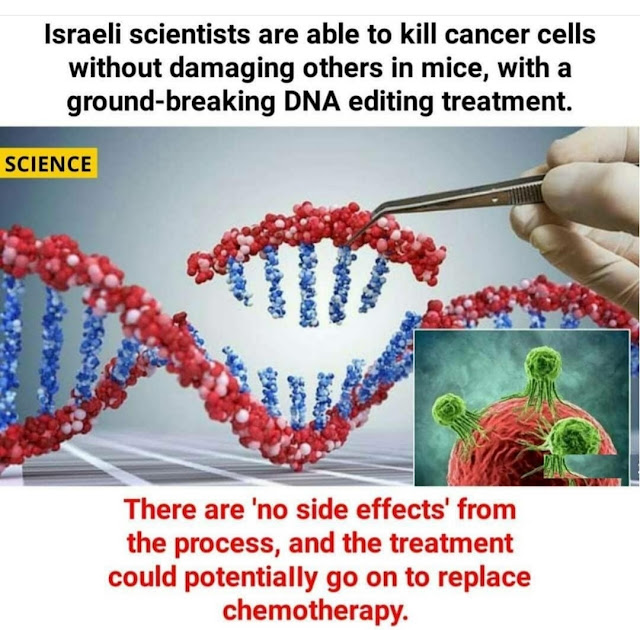 Israeli Scientists are able to kill cancer cells using DNA Editing Treatment