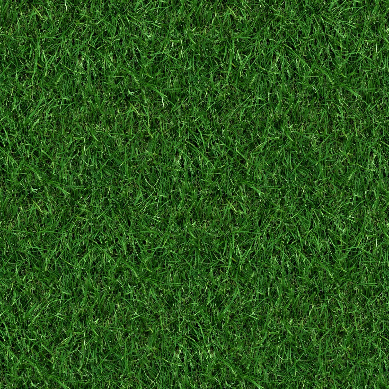 High Resolution Textures Grass 4 Seamless Turf Lawn Green Ground 