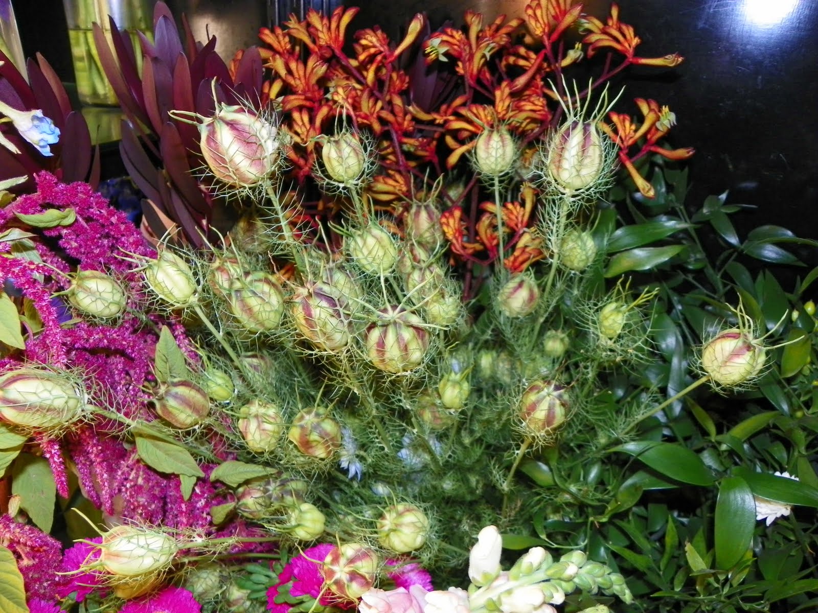 Apple Blossoms Floral Design & Gifts Tampa Florist and Unusual Flowers